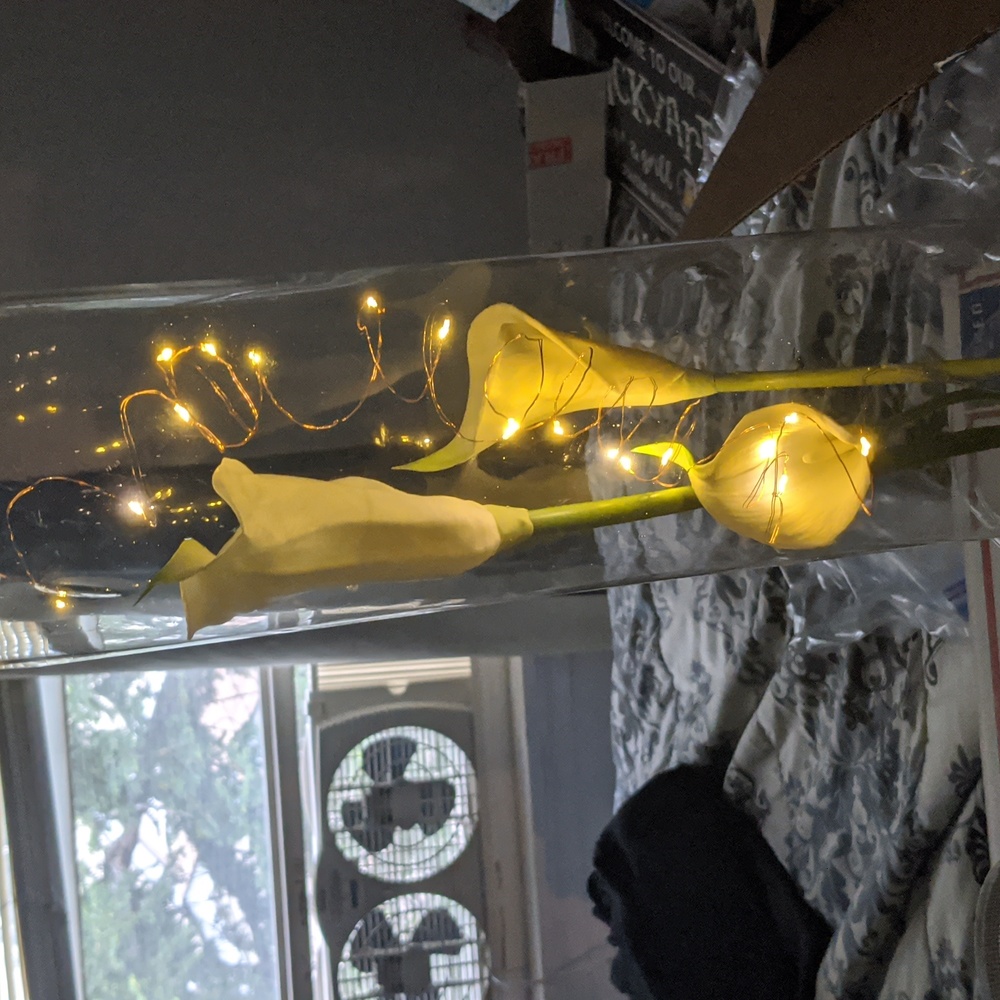 Fairy lights 12pk